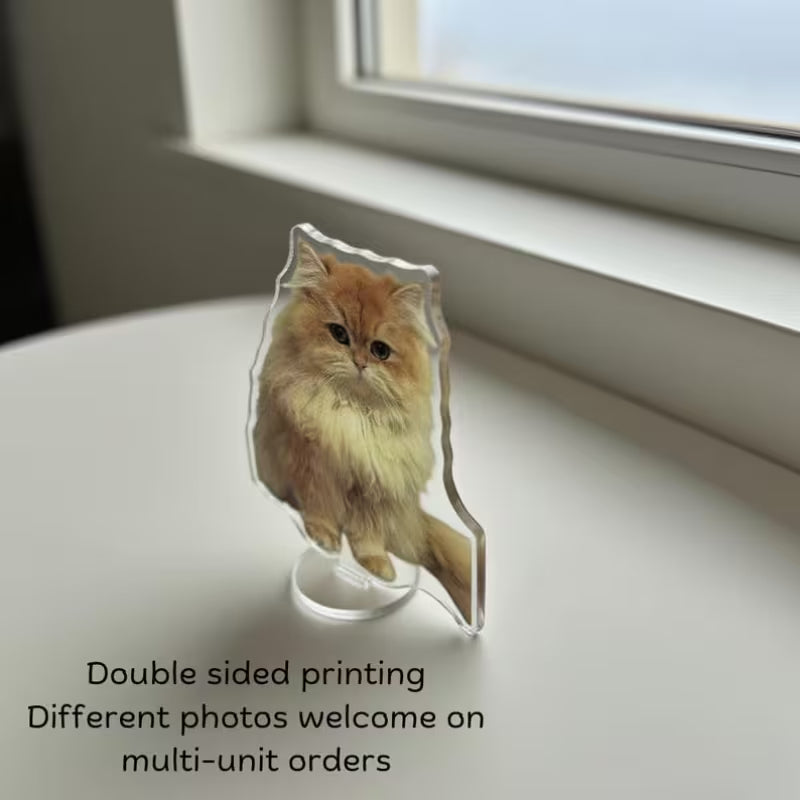 Custom Double-Sided Acrylic Standee