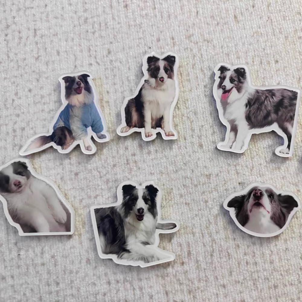 Personalized Photo Fridge Magnet, Custom Dog Cat Family Image Acrylic Refrigerator Magnets, Magnetic Picture Decoration for Home RV School Office Kitchen
