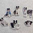 Personalized Photo Fridge Magnet, Custom Dog Cat Family Image Acrylic Refrigerator Magnets, Magnetic Picture Decoration for Home RV School Office Kitchen