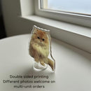 Custom Double-Sided Acrylic Standee