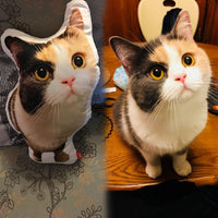 Custom Pet Shaped Pillows, Personalized Funny Pillow with Pet/Picture/People, Double Side 3D Printing Photo, for Birthday, Thanksgiving, Christmas, Halloween (16 inches)
